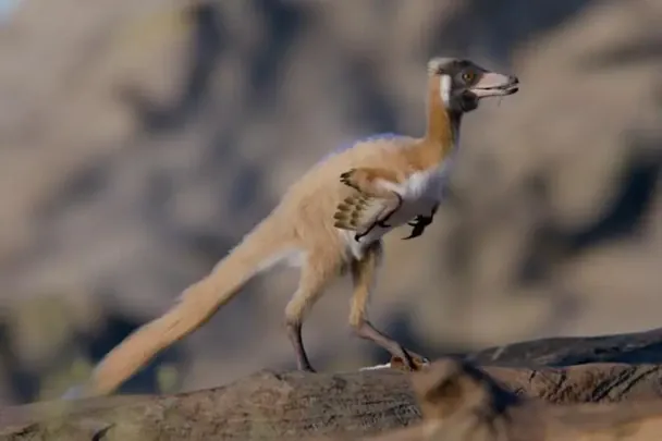 Важив менше кілограма: вчені знайшли 90-мільйонорічні рештки унікального динозавра