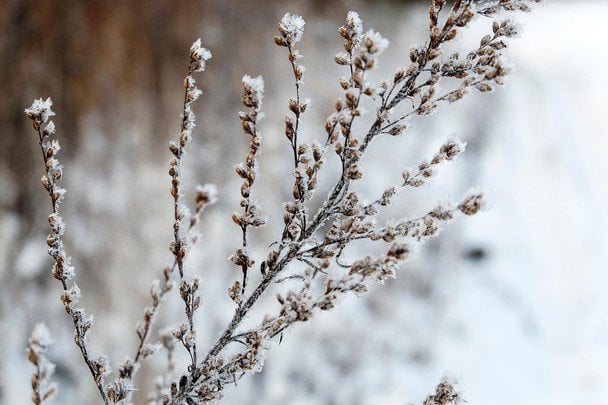 Синоптики оновили прогноз погоди на сьогодні, 13 лютого