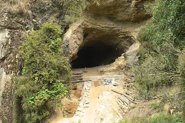 У печері Нової Зеландії знайшли "загублений світ": що відомо про відкриття вчених