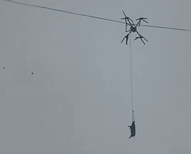 Свиня на дроні влаштувала блекаут на 10 годин: з’явилося відео