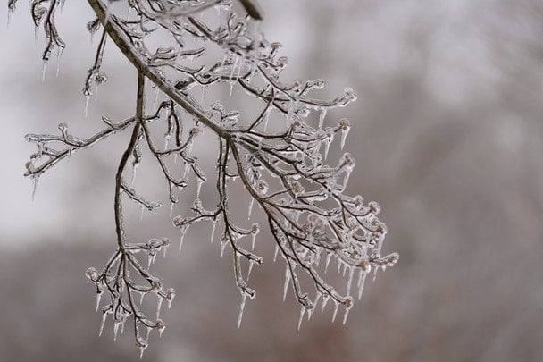 Потепління буде недовго: якою буде погода в Києві та коли повернуться морози