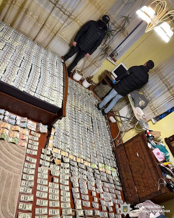 Килим і покривало з доларів у спальні: Мережу шокували кадри обшуку вінницьких лікарів-корупціонерів