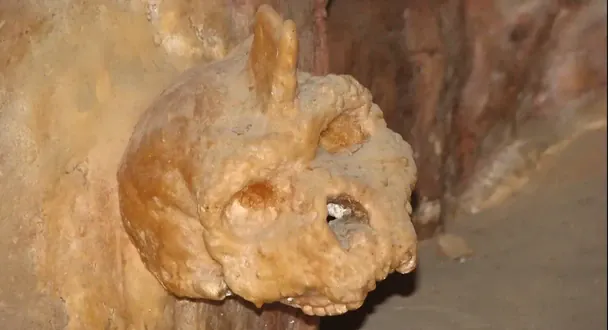 Поставив вчених в глухий кут: майже 300 тисячорічний череп змінив уявлення про еволюцію людини