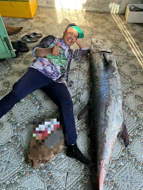 Рибалка спіймав величезну скумбрію, вразивши Мережу: яка її вага та довжина