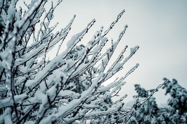 Лютий в Україні стартує з потужних морозів: прогноз погоди на сьогодні Лютий в Україні стартує з потужних морозів: прогноз погоди на сьогодні