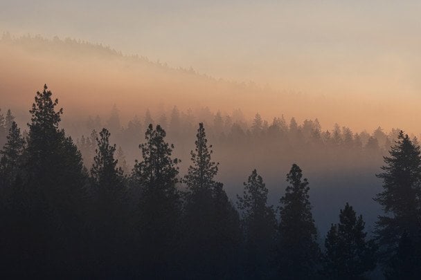 В Україні починається "сезон тиші": за що можуть штрафувати