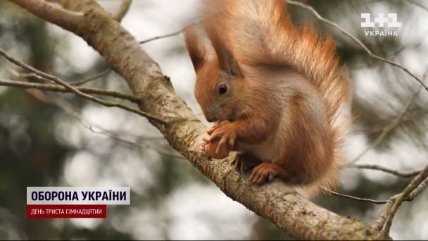 Весна на паузі: до України йде похолодання — синоптикиня попередила про зміну погоди в Україні