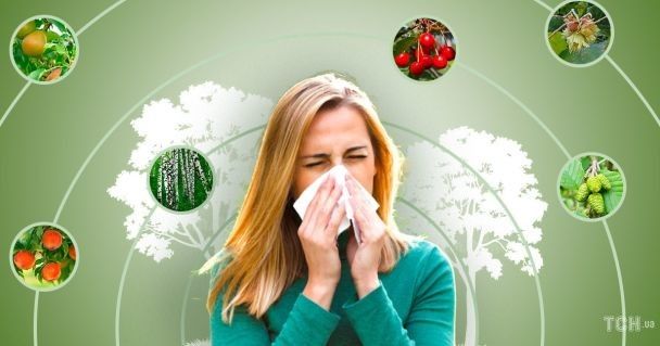 Календар цвітіння алергенних рослин в Україні: коли чекати на загострення