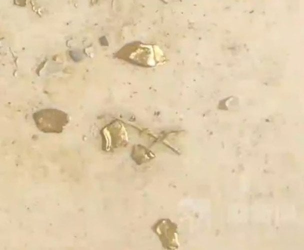 Чоловік знайшов у шлунку качки золото на понад 78 000 гривень — фото