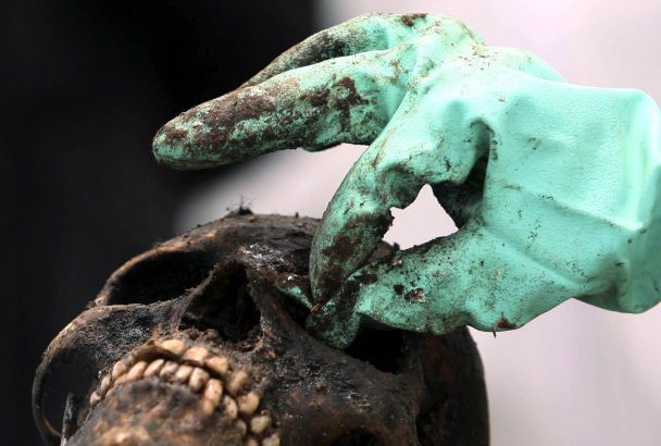 Таємниці зубів залізної доби: як жили та що їли люди 2700 років тому