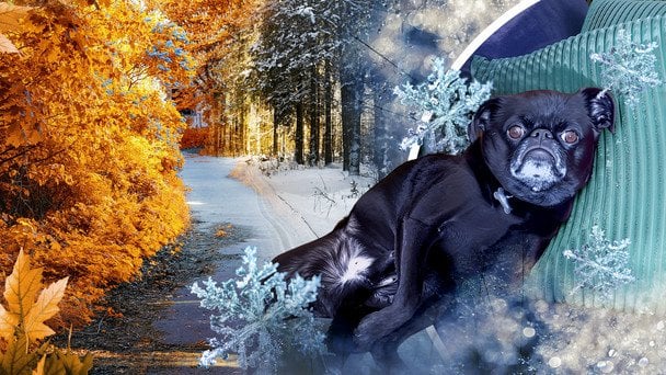 До України повертаються сніг та похолодання: синоптик попередив про зміну погоди та назвав дату