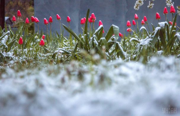 Погода в Україні шокує контрастом: прогноз на 23-29 березня