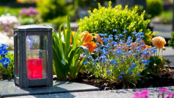 Які квіти краще посадити на цвинтарі: правила вибору