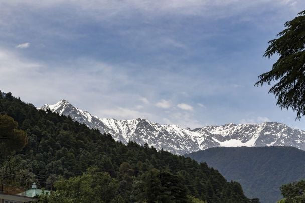 Морські скам’янілості на вершинах гір: у Мережі знову заговорили про Великий потоп (фото)