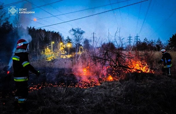 Вогонь охопив десятки гектарів: на Київщині під час спалювання сухостою загинув чоловік (фото)