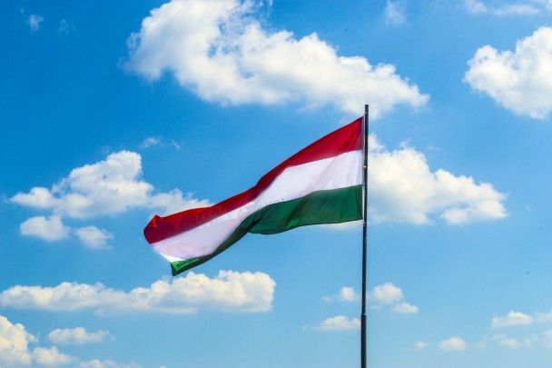 Угорщина звинувачує українців у відмиванні 40 млн доларів: доступу до затриманих немає