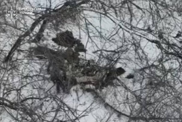 Лубінець озвучив страшну кількість страчених українських полонених