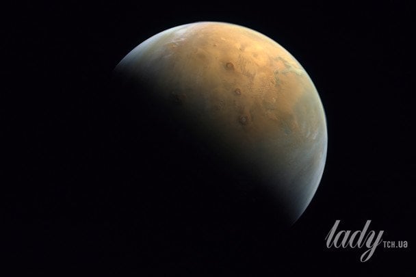 На Марсі помітили "бджіл" та "рептилій": вчений шокував новою теорією (фото)