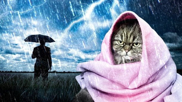 Де випаде сніг і вдарять морози: синоптики дали детальний прогноз для областей