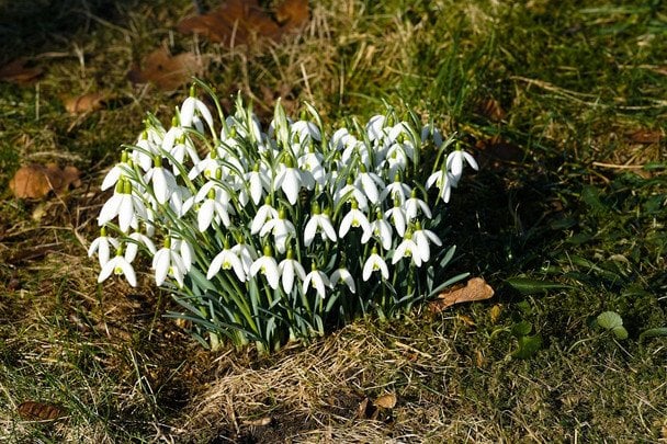 До України увірветься холодна погода: прогноз на 27 березня