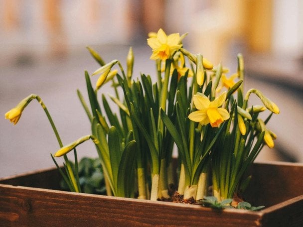Погода в Україні різко зміниться: синоптики назвали регіони, де пройдуть дощі та коли прийде похолодання