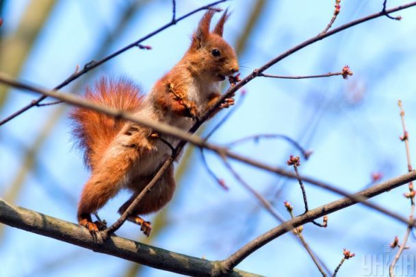 До України повернуться сніг і похолодання: синоптики попередили про різку зміну погоди