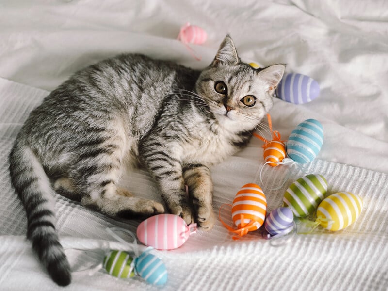 Навіщо перед Великоднем потрібен Великий піст і чому він триває 48 днів