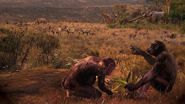 Стародавня мавпа з Балкан могла ходити на двох ногах — чи може вона бути предком людини