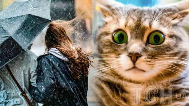 Тепло відступає: коли в Україну повернуться дощі та похолодання