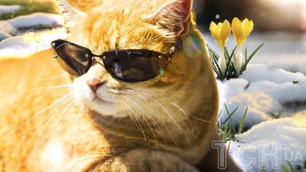 До України суне нашестя циклонів: синоптики назвали дати, коли зміниться погода і де піде сніг (мапа)