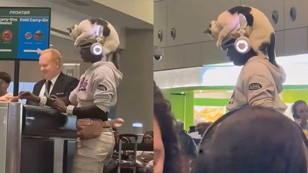Жінка пронесла кота в аеропорт під виглядом капелюха: вірусне відео підірвало Мережу