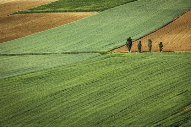 Ціна землі в Україні різко зросла майже вдвічі: деталі