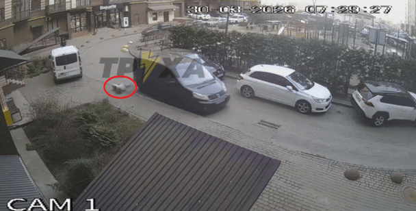 У Луцьку вагітна жінка впала з буса ТЦК, щоб завадити мобілізації чоловіка: вона може втратити дитину