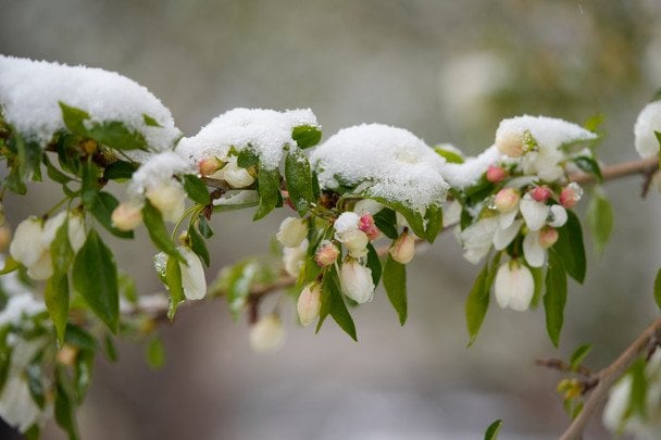 Погода на понеділок, 16 березня: які регіони України накриє негода