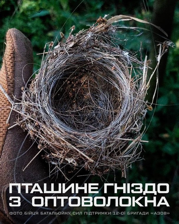 Пастки для тварин і мікропластик: як оптоволокно від дронів впливає на довкілля