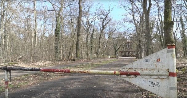 У Німеччині вбили 19-річну українку: що відомо про підозрюваного (фото)