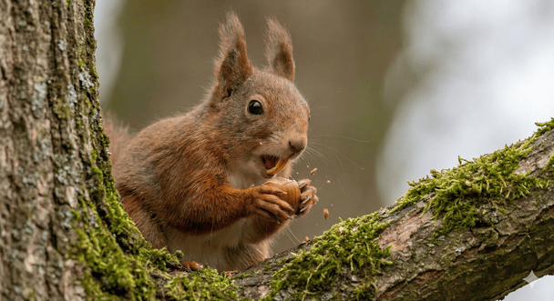 Циклони різко змінять погоду в Україні: синоптики назвали точну дату похолодання та де вдарять морози