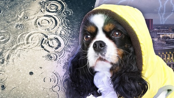 Погода готує сюрприз: синоптикиня попередила, чого чекати на початку весни