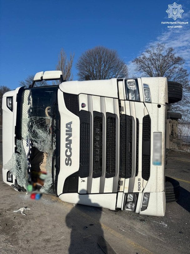 Вантажівка з тваринами перекинулася і перекрила дорогу на Київщині (відео)
