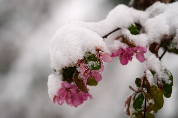 Квітень готує нове випробування українцям: синоптик здивував прогнозом