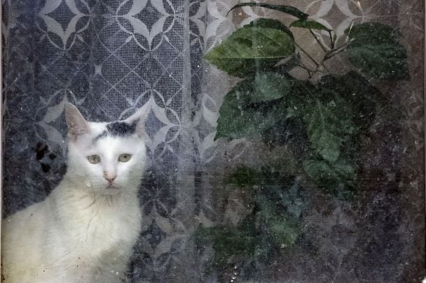 Готуйте куртки: Україну накриває нове похолодання через удар циклонів — детальний прогноз