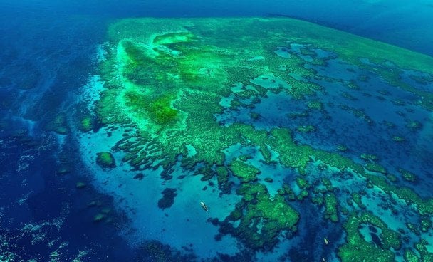 Світовий океан почав стрімко темніти: вчені попереджають про глобальну катастрофу для Землі