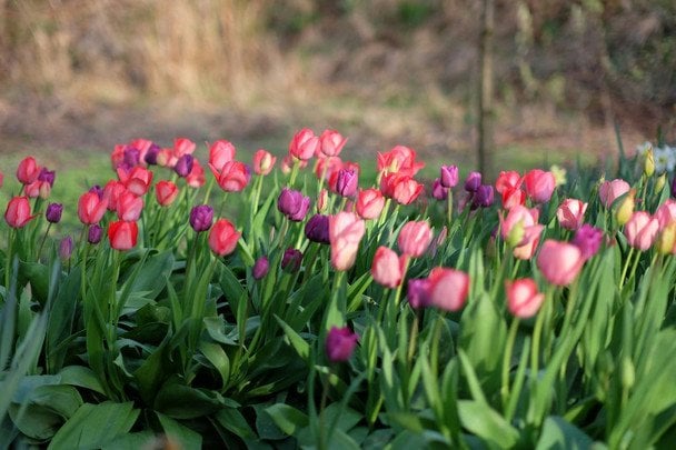 День ангела 4 квітня: кого та як вітати з іменинами