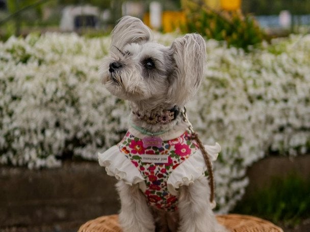 Не ховайте пуховики: до України суне хвиля арктичного холоду одразу після короткочасного потепління