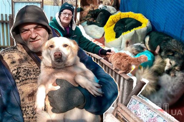 Годують понад сотню тварин: літнє подружжя, яке виїхало із пекла війни на Донбасі, потребує допомоги