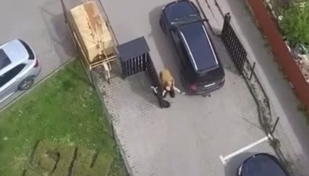 У Львові ТЦК наїхали на матір мобілізованого: що кажуть у поліції (відео)