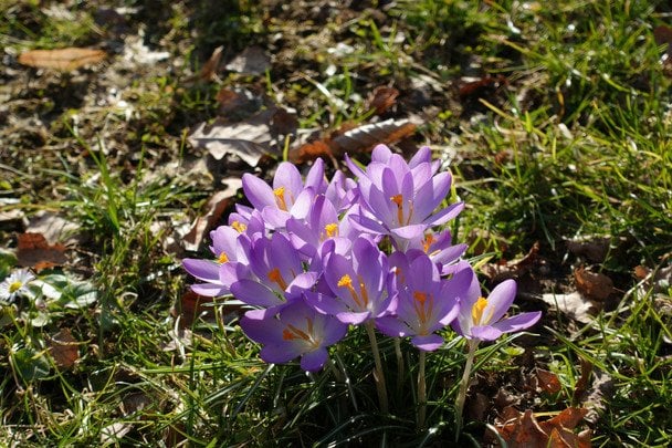 День ангела 13 квітня: кого та як вітати з іменинами
