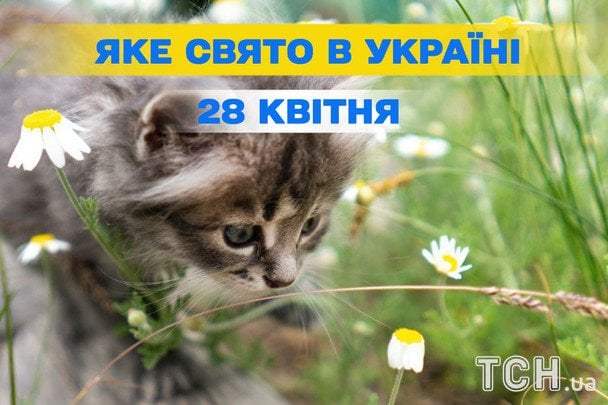 Яке завтра, 28 квітня, свято — все про цей день, яке церковне свято