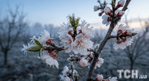 На Київщині оголосили перший рівень небезпечності: яка причина