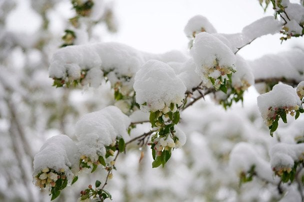 Погода на Великдень: який "сюрприз" очікує українців
